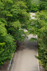 road with beautiful scenic green trees, top view, vertical