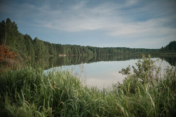 lake surrounded by forest in summer on a sunny clear day
