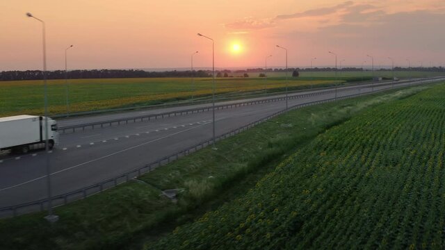 Aerial shot of White Truck with Cargo trailer moving along Highway among the green Fields of Sunflower during Sunset on a Summer Day. Logistics Concept and transportation of goods by trucks.