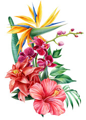 Bouquet tropical flowers on isolated background, watercolor illustration. Strelitzia, hibiscus, orchid, palm leaves © Hanna