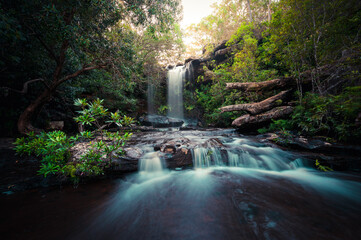 Waterfall in the forest