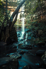 Waterfall in the forest