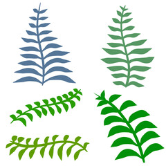 Fern leaf. Element of nature and the forest. Green bracken plant. Set of Flat cartoon illustration isolated on white
