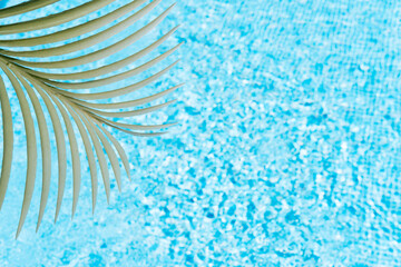 a palm leaf on a background of pool water. concept of summer and travel. copy space