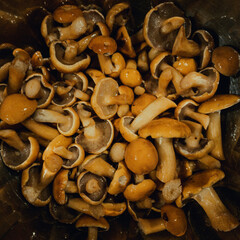 Braising two kinds of mushroom in a pan, crimini and white shimeji.