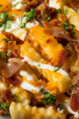 Homemade Bacon Cheddar Ranch Loaded French Fries