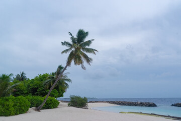 the sandy coast of a coral island in the Indian Ocean