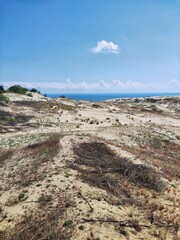 Sand dunes on the Curonian Spit in Russia
