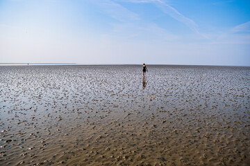 wide shot of lonesome girl walking through the beautiful wadden sea with sun shining and blue sky...