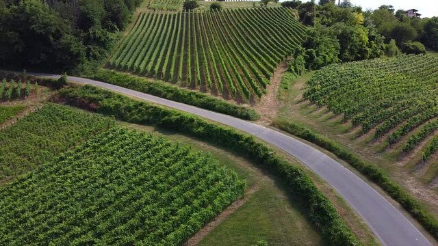 Europe, Italy , Oltrepo Pavia , Broni and Cigognola  aerial view from drone of countryside landscape with vineyards for wine production in Po Valley ( pianura padana ) - road pass between row of vines