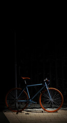Fototapeta na wymiar bicycle on the street