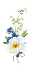 A boutonniere/bouquet of the wild white rose, green leaves, blueberries, branch with green flowers hand painted in watercolor isolated on a white background. Watercolor floral illustration. 