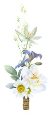 A boutonniere/bouquet of the wild white rose, chamomile, bluebells, green leaves and herbs hand painted in watercolor isolated on a white background. Watercolor floral illustration. 