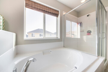 Bathroom interior with bathtub, shower stall and window