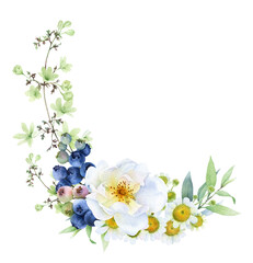 Floral composition of a wild white rose, blueberries, chamomile, flowers, herbs and green leaves hand painted in watercolor isolated on a white background. Watercolor floral illustration. Floral frame