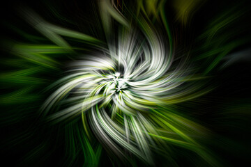 dandelion Flower Swirl