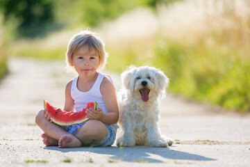 Cute blond child, toddler boy and pet dog, eating watermelon in garden