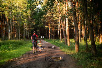 Child walking with dad on a little forest path with siblings and dog, playing in the forest on a summer day
