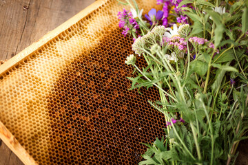 A bouquet of wildflowers on a frame with honeycombs close-up on a background of wooden boards....