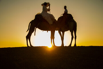 couple on camels 