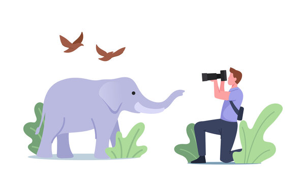 Photographer Character Shoot Elephant and Birds Making Low-frequency Infra Sound Waves with Frequency