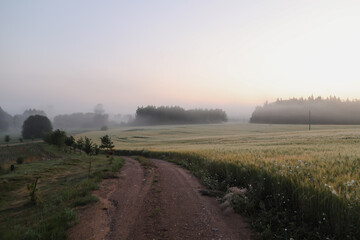 picturesque field and scenic countryside landscape at sunrise in summer