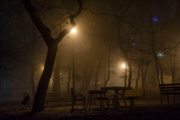 Fototapeta na wymiar park miejski w nocy