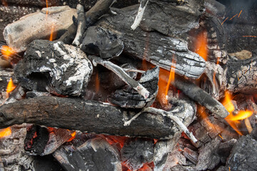 Carbón y leña ardiendo en la barbacoa