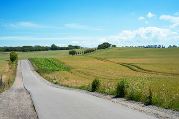 beautiful idyllic and romantic road between green fields in summer in Mecklenburg Western Pomerania