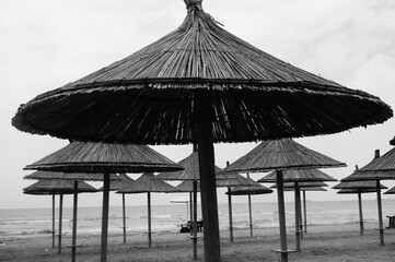 Czarno białe zdjęcie parasoli na plaży