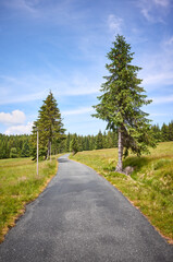 Asphalt road in Izera Mountains on a sunny summer day, Poland.