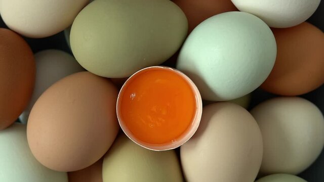 Fresh raw chicken eggs with half shell and yolk rotate in circle. Natural, healthy farm food. Rustic products. Poultry