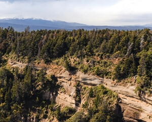 Forest and mountains