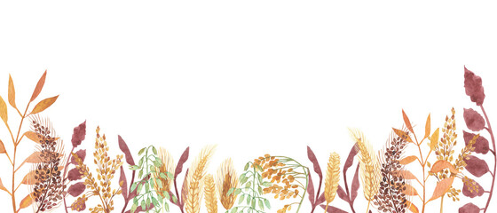 Watercolor hand painted nature autumn plants banner line with yellow rye ear, brown cereals, orange leaves on branch and green  sprouts composition on the white background for card design