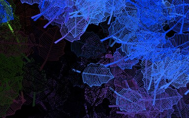 Dark Blue, Red vector doodle pattern with leaves.