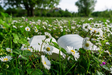 Libro a terra in un prato fiorito