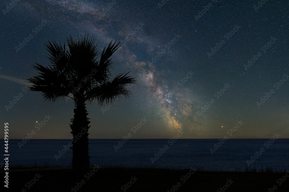 Sticker Beautiful night landscape with palm, ocean and the Milky Way galaxy