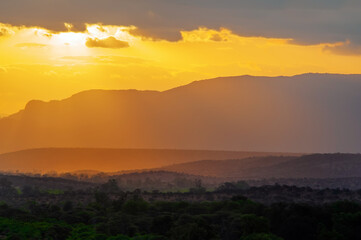 Sunset in African savannah. Kenya