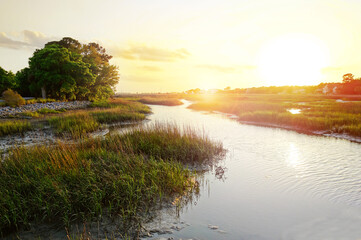 Sunset view along the marsh in the Low Country near Charleston SC - obrazy, fototapety, plakaty