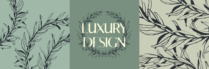 Olive wreath logo template, background, vector