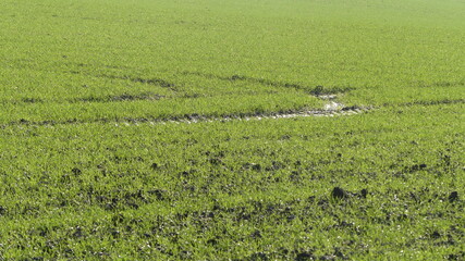 Campagne agricole française