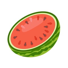 Ripe watermelon berry. Half a watermelon. Vector illustration. Isolated