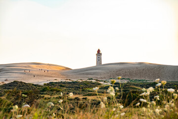 Summer in the sand dunes and at the North Sea in Denmark. Sea, Nordic light, grass, straw and sandunes.