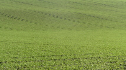 Campagne agricole française