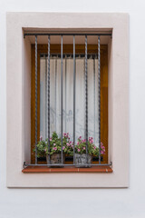 Window with bars and white curtain with flowers inside a pot
