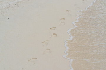 footprints of a man on a sandy beach and sea
