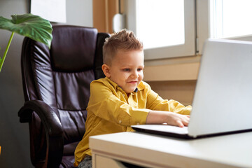 Young boy playing video games on the computer