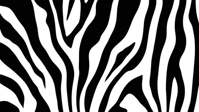 Simple zebra print motion background. This black and white striped animal print background animation is full HD and a seamless loop.