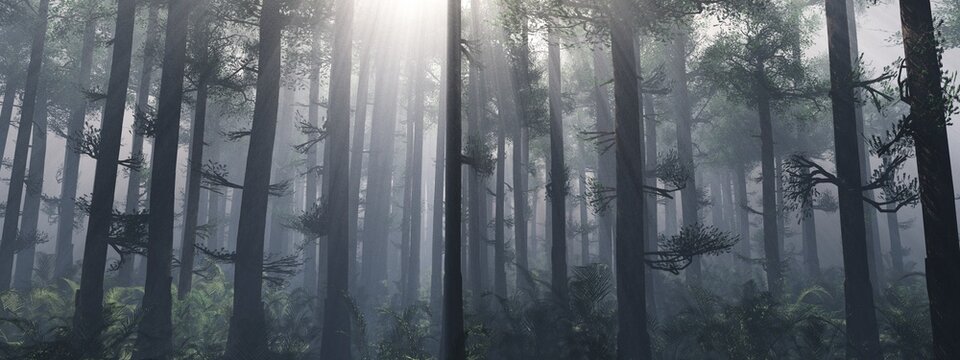 Forest in the fog in the morning at sunrise, trees in the rays, park in the haze, 3D rendering