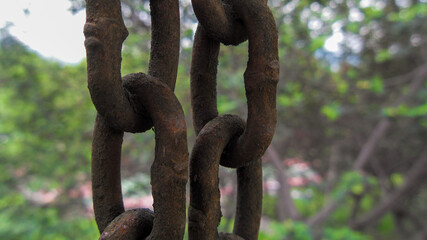 Cadenas en la naturaleza